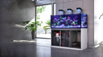 Red Sea Reefer Aquariums Systems G2