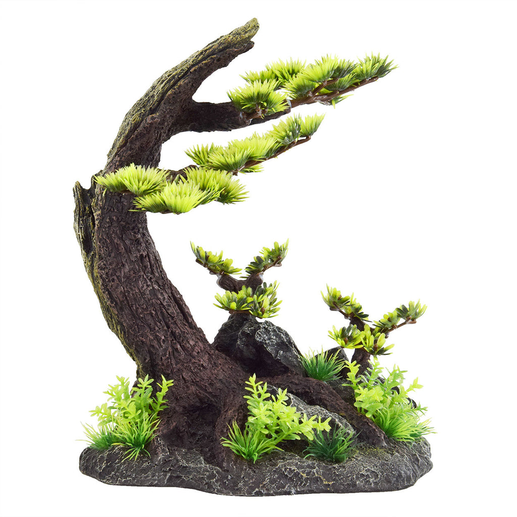 Windy Bonsai