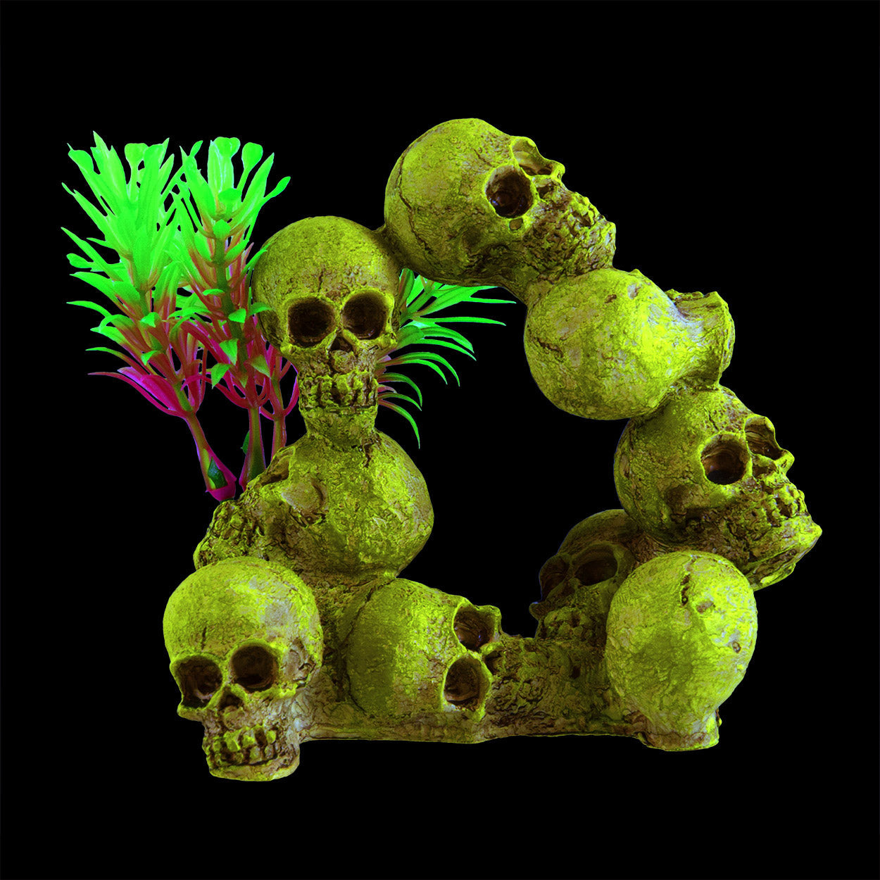 Glowing Ring O Skulls