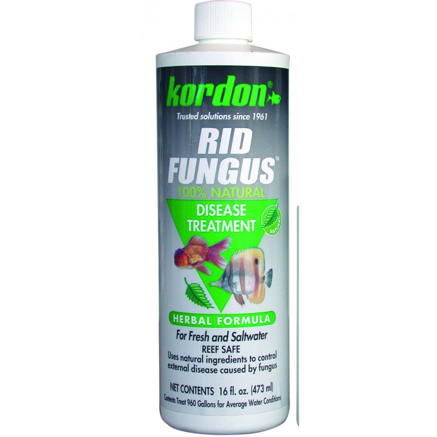 KORDON Rid Fungus