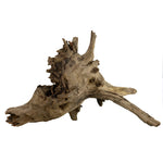 Underwater Treasures Eucalyptus Root