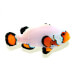 Captive bred Clownfish