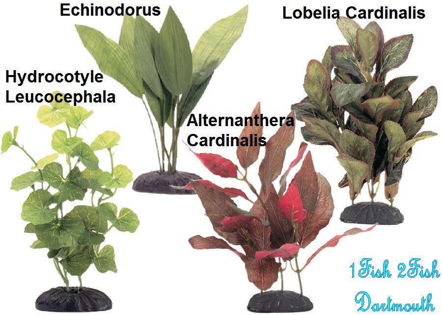 Marina EcoScaper Silk Plants