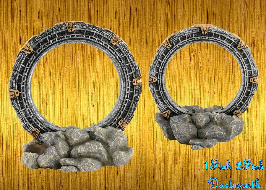 Underwater Treasures Sunken Medallions