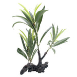 Fluval Decorative Plants