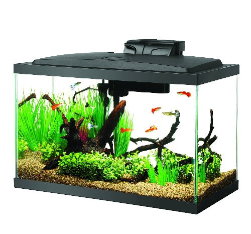 Aqueon LED Aquarium Kits (No Shipping)