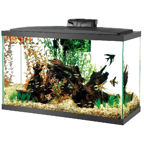 Aqueon LED Aquarium Kits (No Shipping)