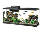 Aqueon LED Aquarium Kits (No Shipping)