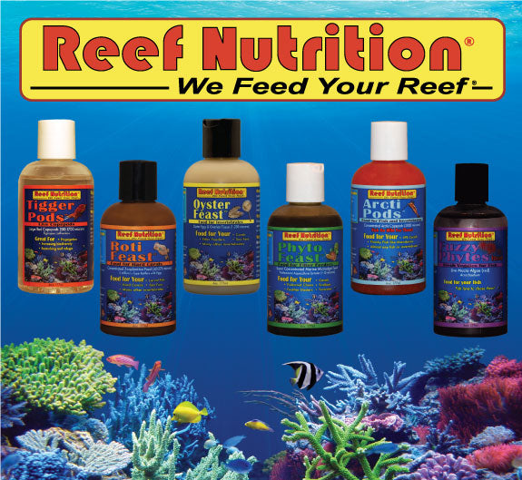 Reef Nutrition
