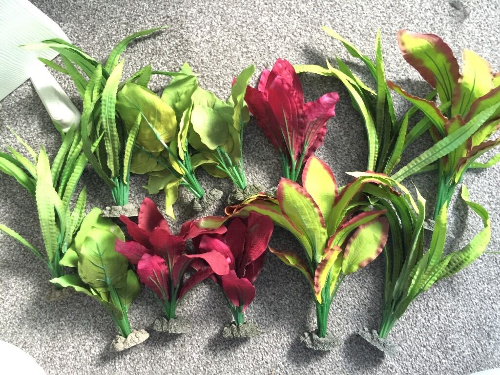 Marina Naturals  Silk Plant