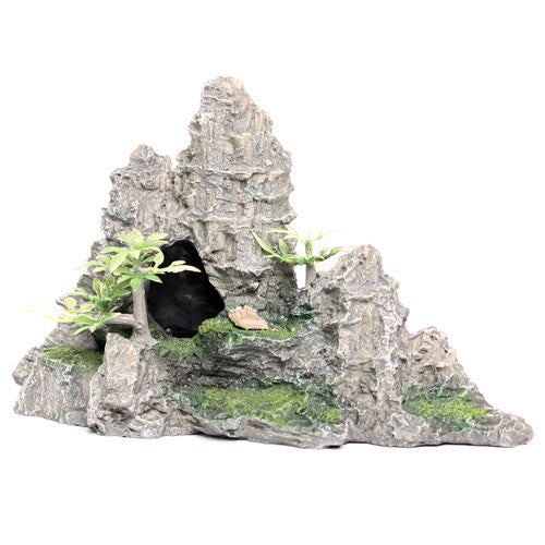 Underwater Treasures Two Cave Mountain - Med