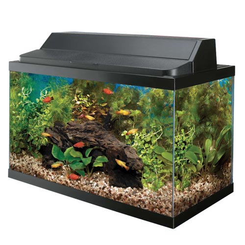 Aqueon LED Aquarium Kits (No Shipping)