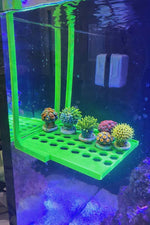 Custom 3D Frag Racks