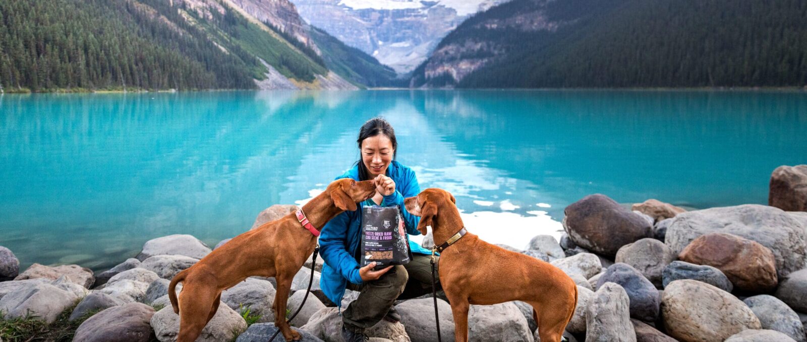 Nutrience Dry Dog Food