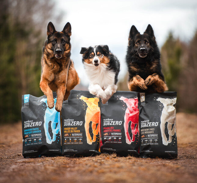 Nutrience Wet Dog Food