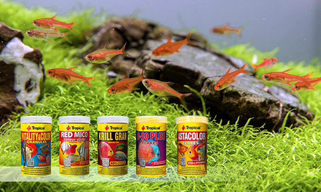 Tropical Fish Food