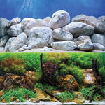 Underwater Treasures Aquarium Backgrounds - Per ft