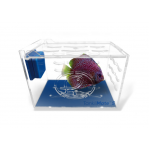 Eshopps Tanklimate Acclimation Box