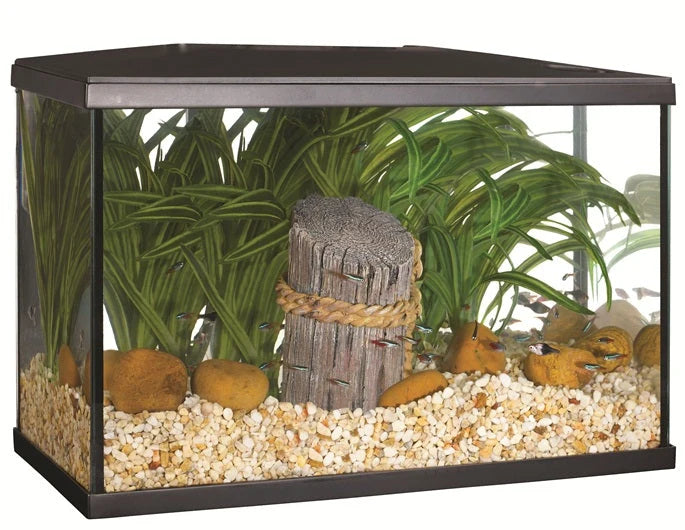 Marina 5 gallon LED aquarium, decorated setup; fish, plants and décor sold separately